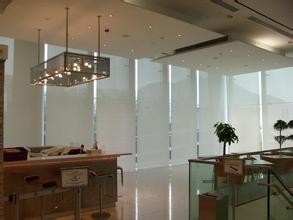 Modern Luxury Perde Kumaş Stor Polyester jaluzi Dikey Blind